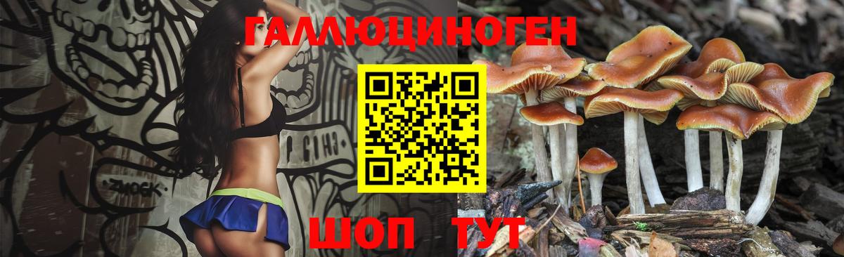 Псилоцибиновые грибы GOLDEN TEACHER Киров